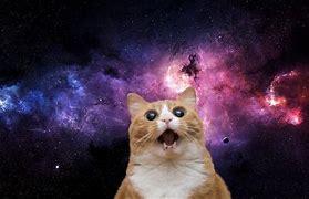 Image result for Cat in Outer Space