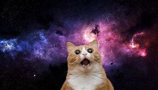 Image result for Galaxy Cat Laptop Wallpaper 4K Cute