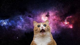 Image result for Cute Cat Galaxy Background
