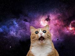 Image result for Astronaut Cat Space Wallpaper