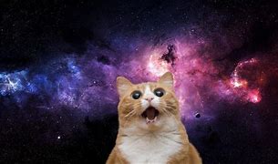 Image result for Space Cat Wall Art
