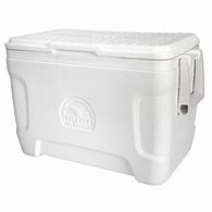 Image result for White Igloo Cooler