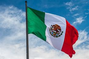 Image result for Mexico Flag Description