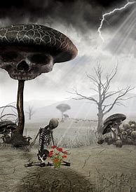 Image result for Surreal Skull Art