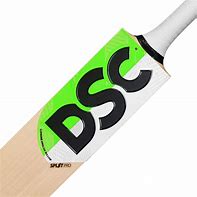 Image result for DSC Cricket Bat Orange