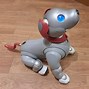 Image result for Aibo Accessories