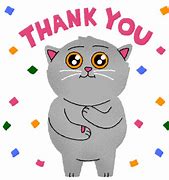 Image result for Cat Saying Thank You Meme