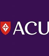 Image result for acu�5ico