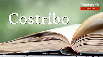 Image result for costribo