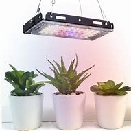 Image result for LED Seedling Grow Light Panel