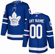 Image result for Leafs Jersey
