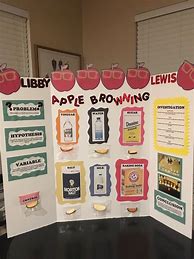 Image result for Science Fair with Different Apple's