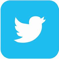 Image result for Twitter Bird Logo