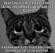 Image result for Cat Lady Funny Quotes