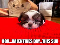 Image result for Yay Puppy Meme