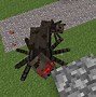 Image result for Spider Cave Minecraft Dungeons