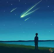 Image result for Seeing a Shooting Star