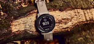 Image result for Garmin 6s Watch Screens