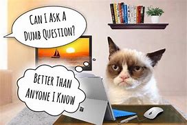 Image result for Animal Questions Meme