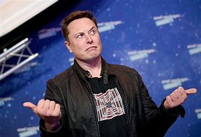 Image result for Elon M