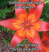 Image result for Uplifting Beauty Memes