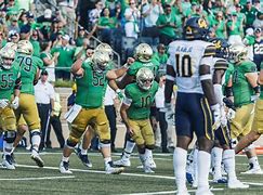 Image result for Notre Dame Fighting Irish Football Larndy