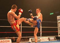 Image result for Cartonn Low Blow Fights