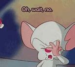 Image result for Pinky and the Brain Love