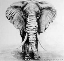 Image result for Elephant Drawing Tumblr