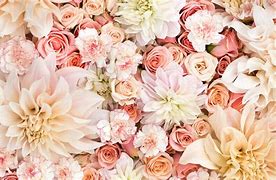 Image result for Cute Pastel Flowers