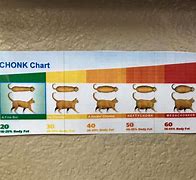 Image result for Chonk Scale