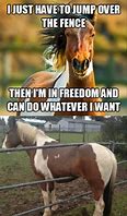 Image result for Horse Jumping Memes