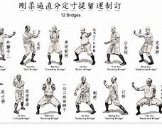 Image result for Chinese Fighting Styles List