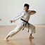 Image result for Karate Sensei