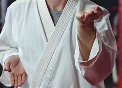 Image result for Karate Chop