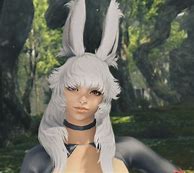Image result for FF14 Viera Street Atire