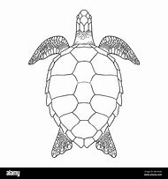 Image result for Turtle Outline Vector