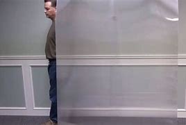 Image result for Real Life Invisibility Cloak