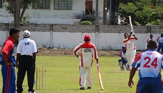 Image result for Softball Cricket