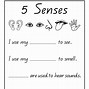 Image result for Fun Five Senses Activities
