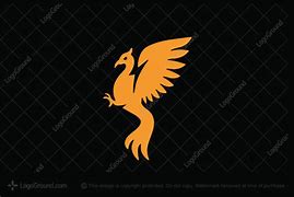 Image result for Camera/Flash Phoenix Logo