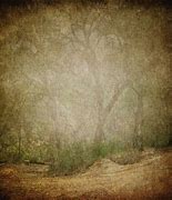 Image result for Background Texture Photography