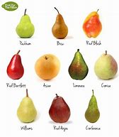 Image result for Pears Fruit Types