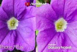 Image result for +iPhone 8 Plus Camera vs iPhone 7 Plus Camer