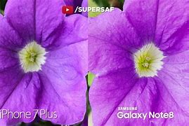Image result for iPhone 7 Plus Camera Shots