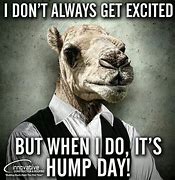 Image result for Not Hump Day Meme