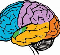 Image result for Brain Drawings. Clip Art