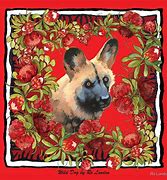 Image result for African Wild Dog Memes