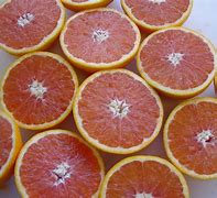 Image result for Navel Orange Varieties