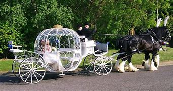 Image result for Dahlonega Cinderella Horse Carriage